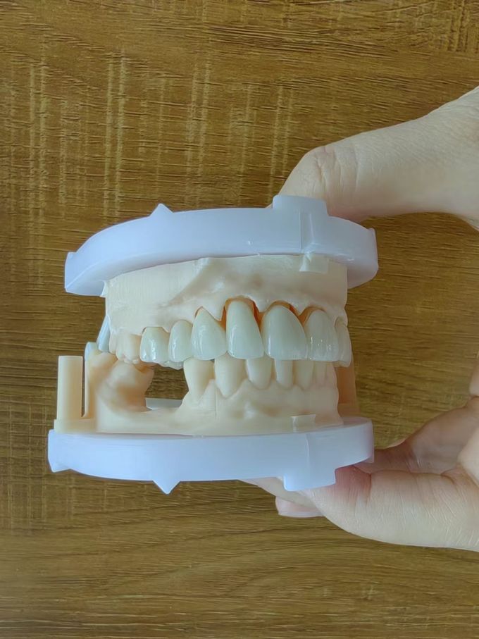 Natural Esthetics Layered Zirconia Crown Bridge For Beautiful Smile And Good Restoration FDA And CE Certification 0