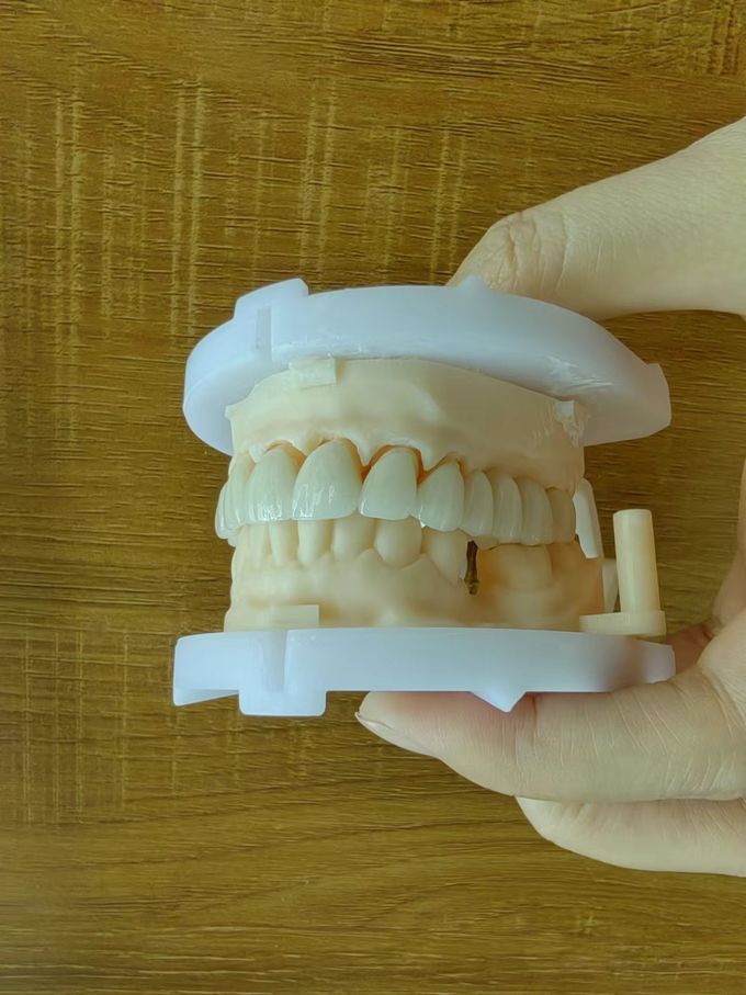 Natural Esthetics Layered Zirconia Crown Bridge For Beautiful Smile And Good Restoration FDA And CE Certification 1
