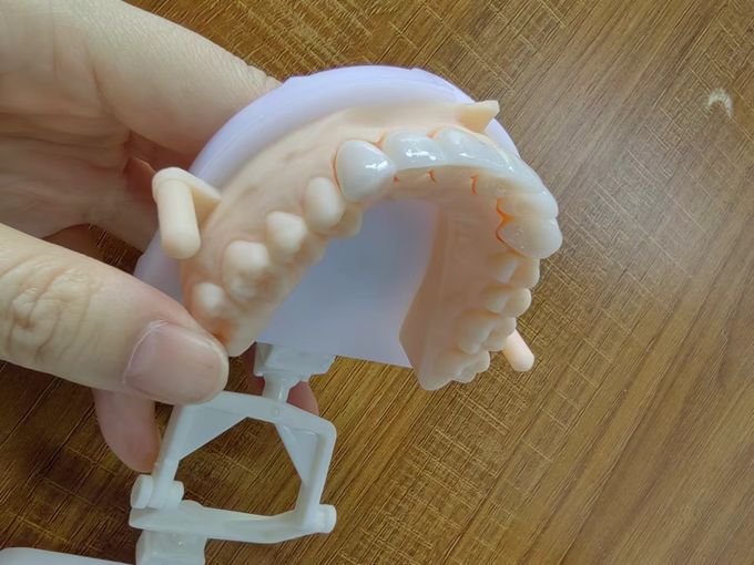 Natural Esthetics Layered Zirconia Crown Bridge For Beautiful Smile And Good Restoration FDA And CE Certification 2