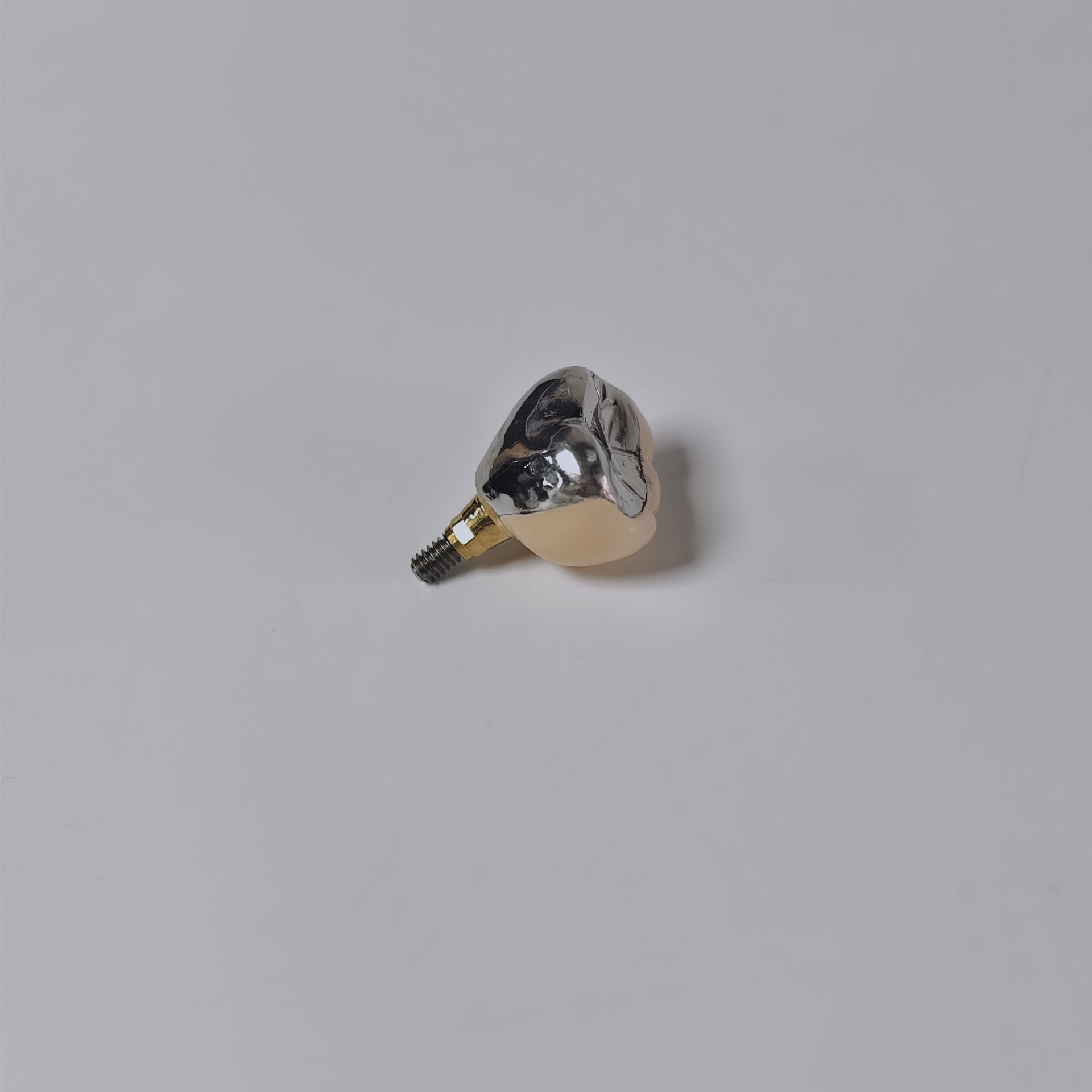 PFM crown with screw retained